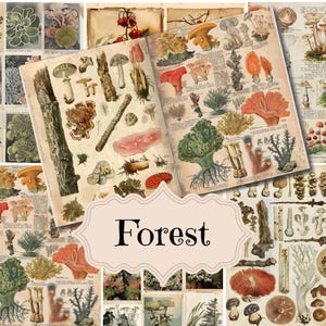 Kit Diário Forest Junk: Objetos Efêmeros Shabby Chic (Download Digital)