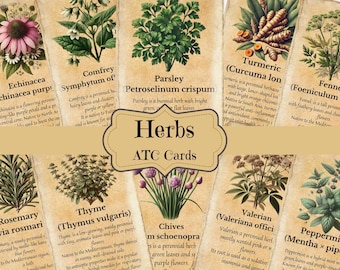 Vintage Herbs Junk Journal Kit: Printable Ephemera & Cards (Digital Download)