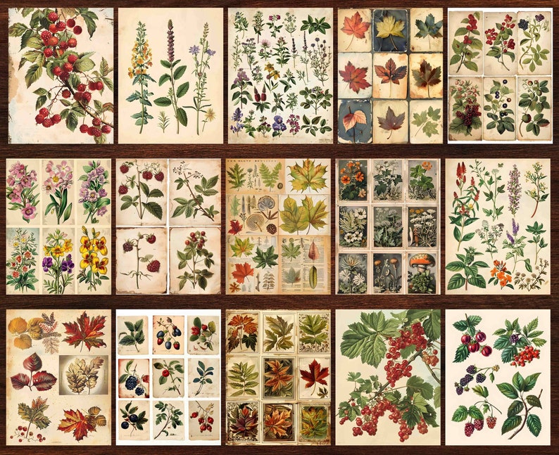 Forest Junk Journal Kit Enchanted Forest Scrapbook Backgrounds