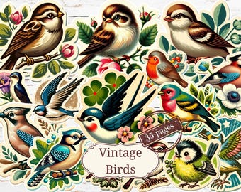 Vintage Birds Junk Journal Kit: Shabby Chic Scrapbook (digital nedladdning)