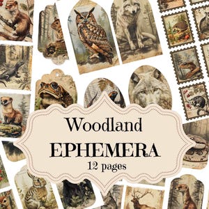 Woodland Animals Junk Journal Supplies Vintage Vogels Collage Kit Dieren Scrapbook Afdrukbare Ephemera Woodland Shabby Chic Digitale Tags enz.