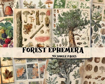 Kit de journal indésirable de la forêt Arrière-plans de scrapbooking Forêt enchantée Fournitures de journal indésirable Forêt shabby Chic éphémères de la forêt