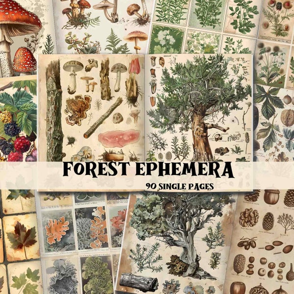 Forest Junk Journal  Kit Enchanted Forest Scrapbook Backgrounds Enchanted Forest Junk Journal Supplies Shabby Chic Forest Ephemera