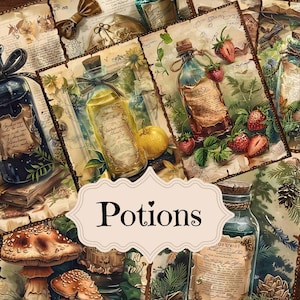 Könnte beinhalten: Eine Sammlung von Zaubertrankflaschen mit Etiketten und Korkstopfen. Die Flaschen sind mit bunten Flüssigkeiten gefüllt und von Pilzen, Beeren und Blättern umgeben. Das Bild trägt den Schriftzug "Potions" auf einem Banner.