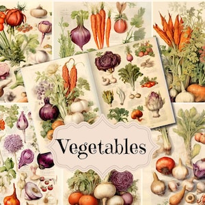 Kit per diario spazzatura Collage di verdure vintage Kit vintage digitale Arte del diario spazzatura vintage Cucina Shabby Chic Ephemera Forniture stampabili