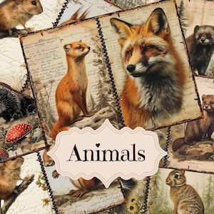 Wald Tiere Junk Journal Kit Verzauberten Wald Scrapbook Digitale Papier Tiere Junk Journal Liefert Shabby Chic Wald Hintergründe