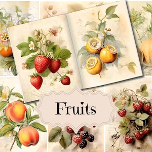 Kit per diario spazzatura Collage di frutta vintage Kit vintage digitale Frutta Arte vintage per diario spazzatura Frutta Shabby Chic Ephemera Materiali stampabili