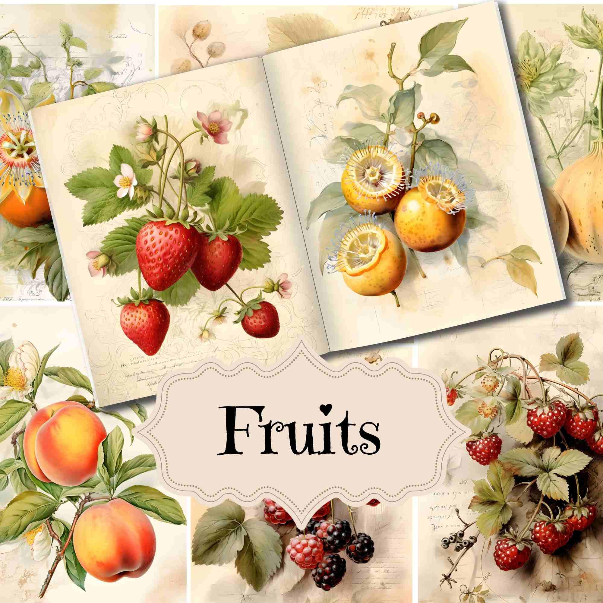 Fruits magazine - Etsy 日本