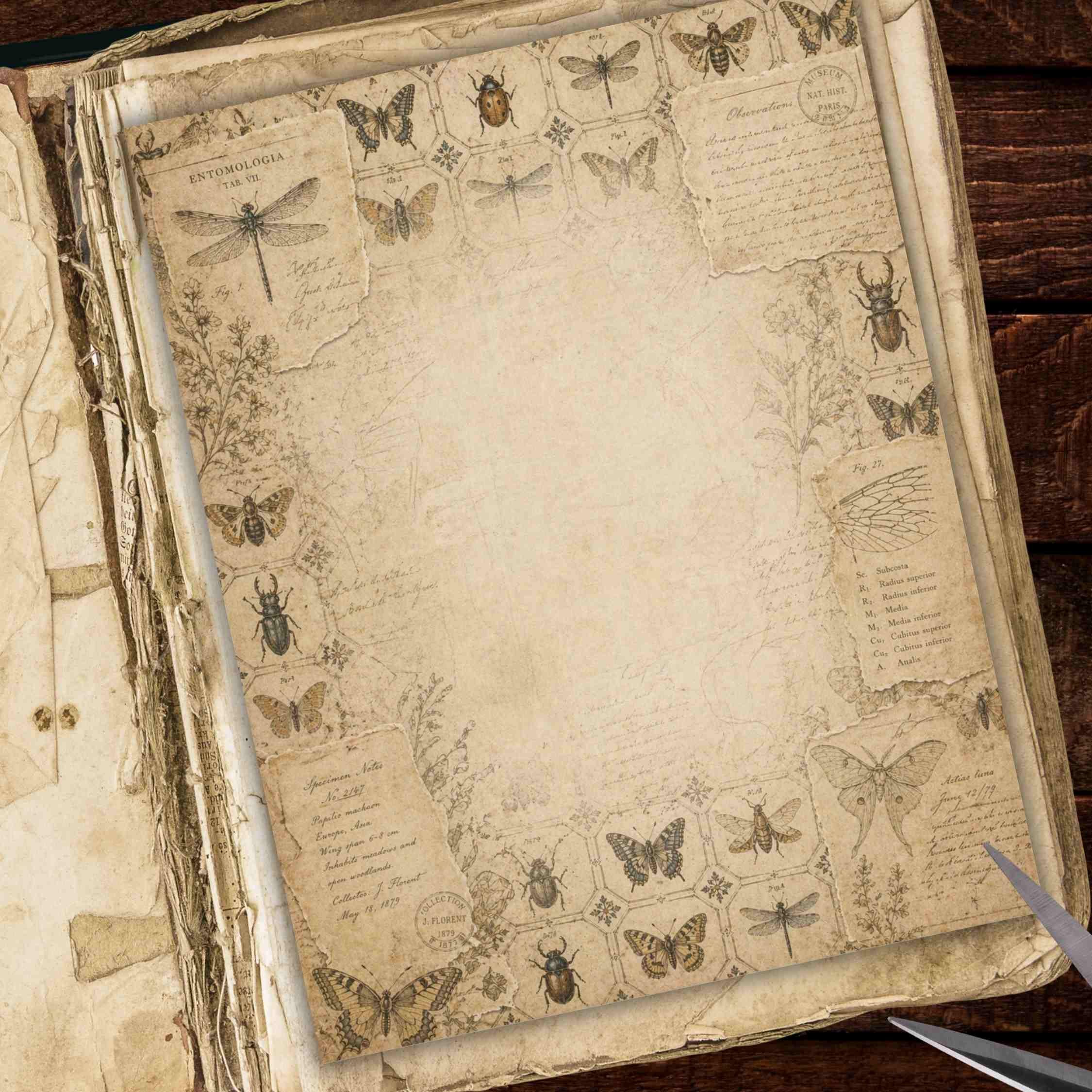 Vintage Insects Junk Journal Kit: Printable Butterfly Ephemera & Cards ...