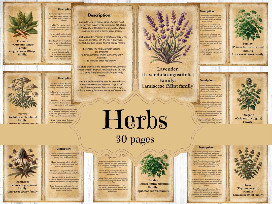 Herbs Junk Journal Kit Vintage Herbs Scrapbook Digital Printable Pages ...