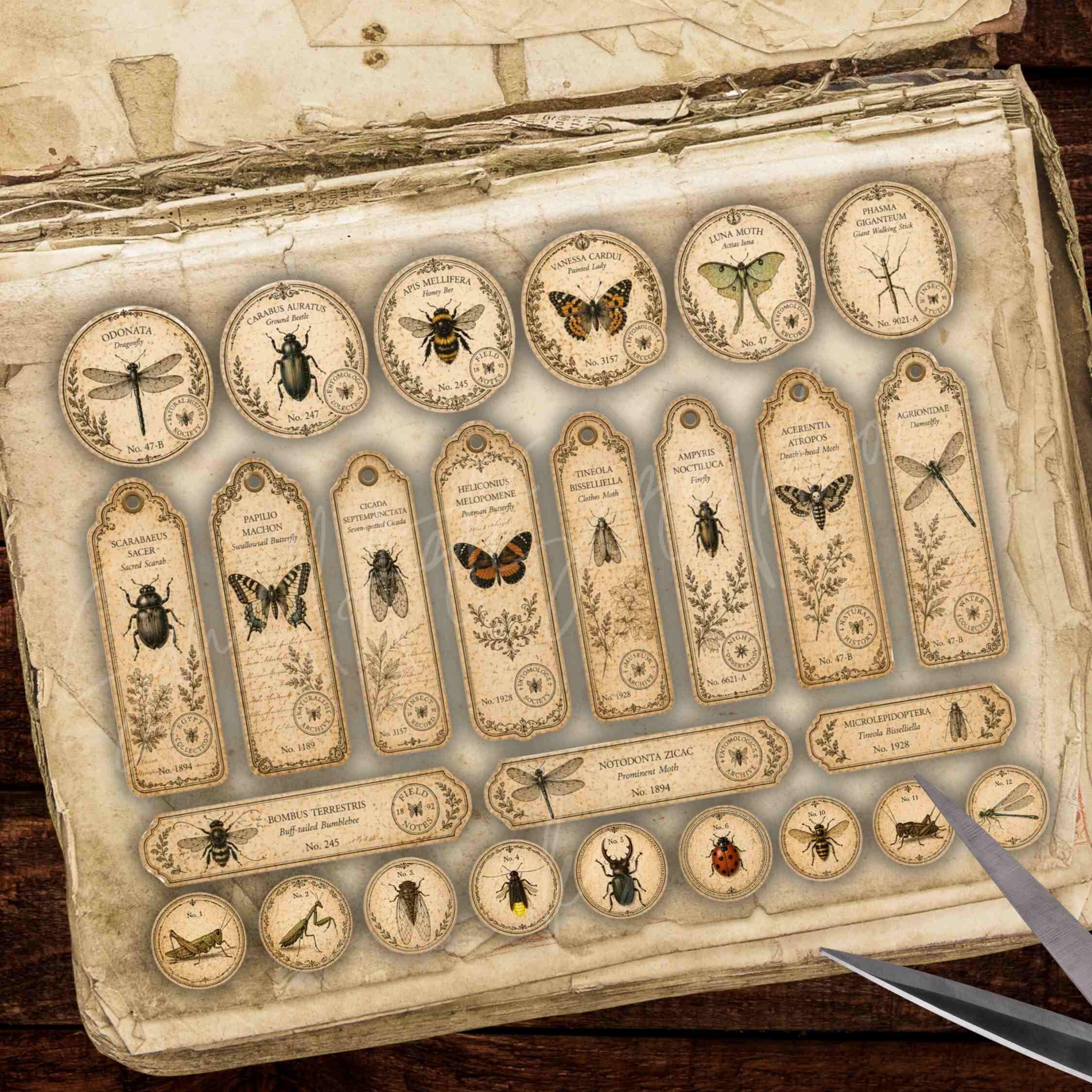 Vintage Insects Junk Journal Kit: Printable Butterfly Ephemera & Cards ...