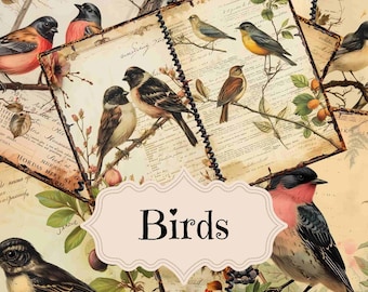 Vintage Birds Junk Journal Kit: Shabby Chic Scrapbook (digital nedladdning)