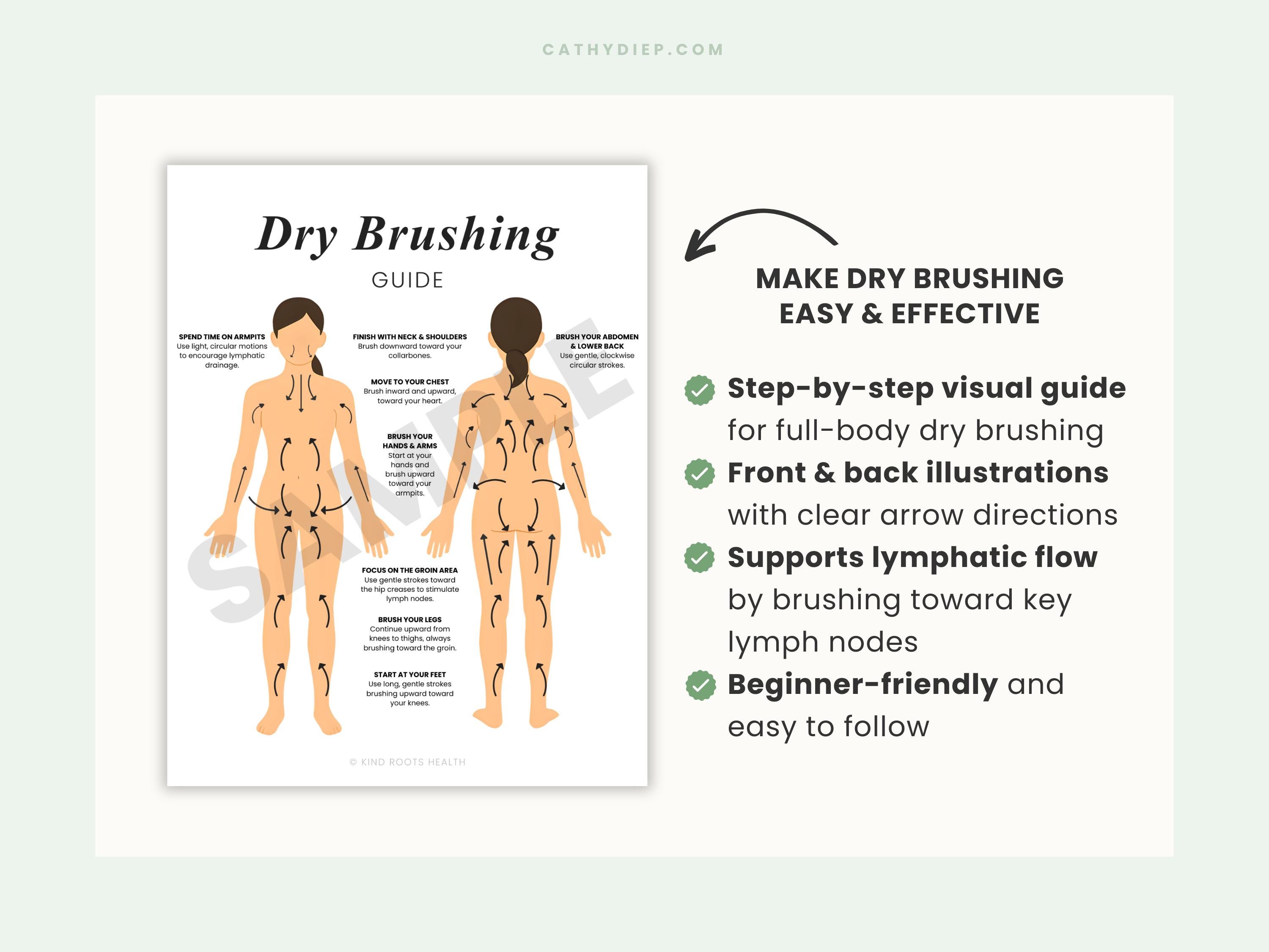 Dry Brushing Guide Printable Lymphatic Drainage Chart Dry Brush dry-brushing-guide-printable-lymphatic-drainage-chart-dry-brush