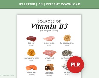 Vitamin B3 Food Chart PLR | Wellness PLR Canva Template | Nutrition Coaching Digital Product | Private Label Rights Health Wellness PLR