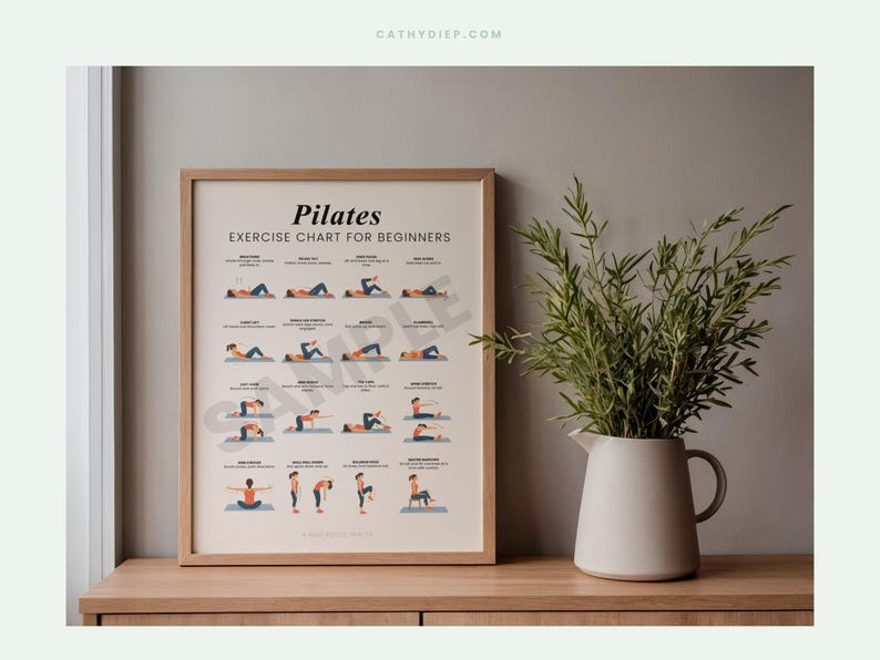 May include: A framed Pilates exercise chart for beginners. The chart displays illustrations of different exercises. A white vase with green plants is on a wooden surface beside the framed chart. The wall is a neutral grey colour.