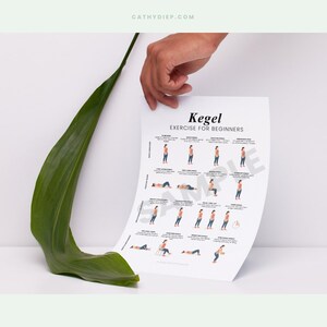 May include: A white sheet of paper with the title "Kegel Exercise for Beginners" and illustrations of exercises. A large green leaf is positioned to the left of the paper. The website address cathydiep.com is visible at the top.