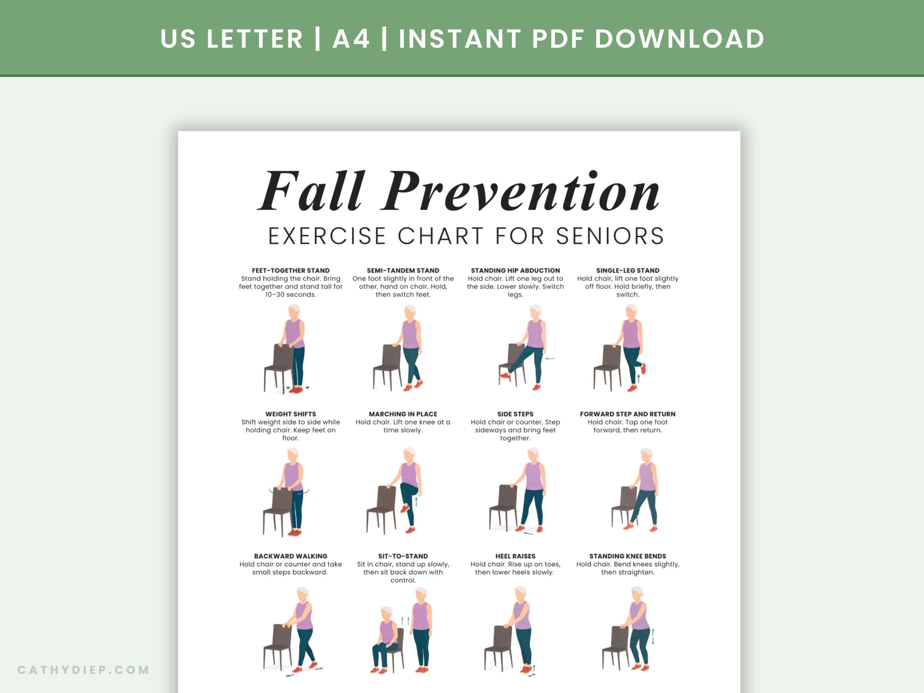 Fall Prevention Balance Exercises for Seniors Printable PDF | Chair ...