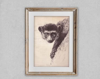 Lemur Ink Drawing Wall Art, Minimal Wildlife Illustration, Neutral Beige Black Animal Print, Vintage Nature Art, Vendor Commercial Use