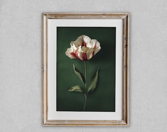 Moody Tulip Wall Art Print, White Flower Still Life, Dark Botanical Decor, Minimal Artwork , Vintage Floral Artwork Download Dark Moody Art