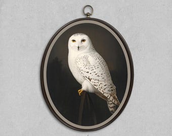 Moody White Owl Wall Art, Neutral Brown Wildlife Print, Greige Fine Art Owl, Dark Academia Decor Digital Download, Dark Moody Art, White Art