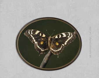 Moody Butterfly Wall Art Dark Green Botanical Print Vintage Style Nature Illustration Fine Art Insect Decor Dark Moody Commercial Vendor Use