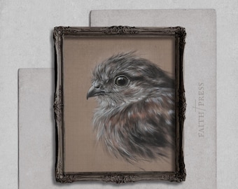 Vintage Bird Drawing Print Charcoal drawing Scribble drawing Neutral bird art Vintage bird sketch Woodland Ornithology Bird Ephemera Digital