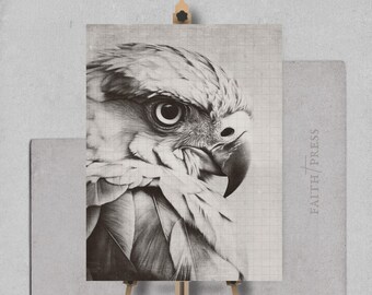 Modern Black and White Bird Drawing, Close‑Up Bird Print, High Detail Nature Illustration Ornithology Wall Decor Monochrome Print Modern Art