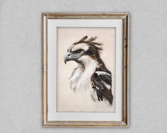 Osprey Bird Art, Watercolor Bird, Muted Bird Drawing, Minimal Watercolor Drawing, Neutral Wildlife Illustration, Bird Decor Digital Download