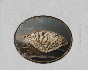 White Moth Wall Art Print, Moody Blue Fine Art, Vintage Natural History Insect, Old World Style Decor Digital Download Printable Art