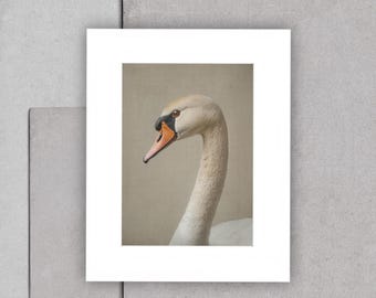 Vintage White Goose Print, Minimalist Neutral Printable Wall Art, Modern Farmhouse Decor, Digital Download, Vintage Goose Art, White Art