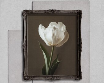 White Tulip Wall Art, Brown Floral Wall Decor, Moody Tulip Artwork, Old Master Floral Print, Neutral Brown Wall Art, Minimalist Tulip Art
