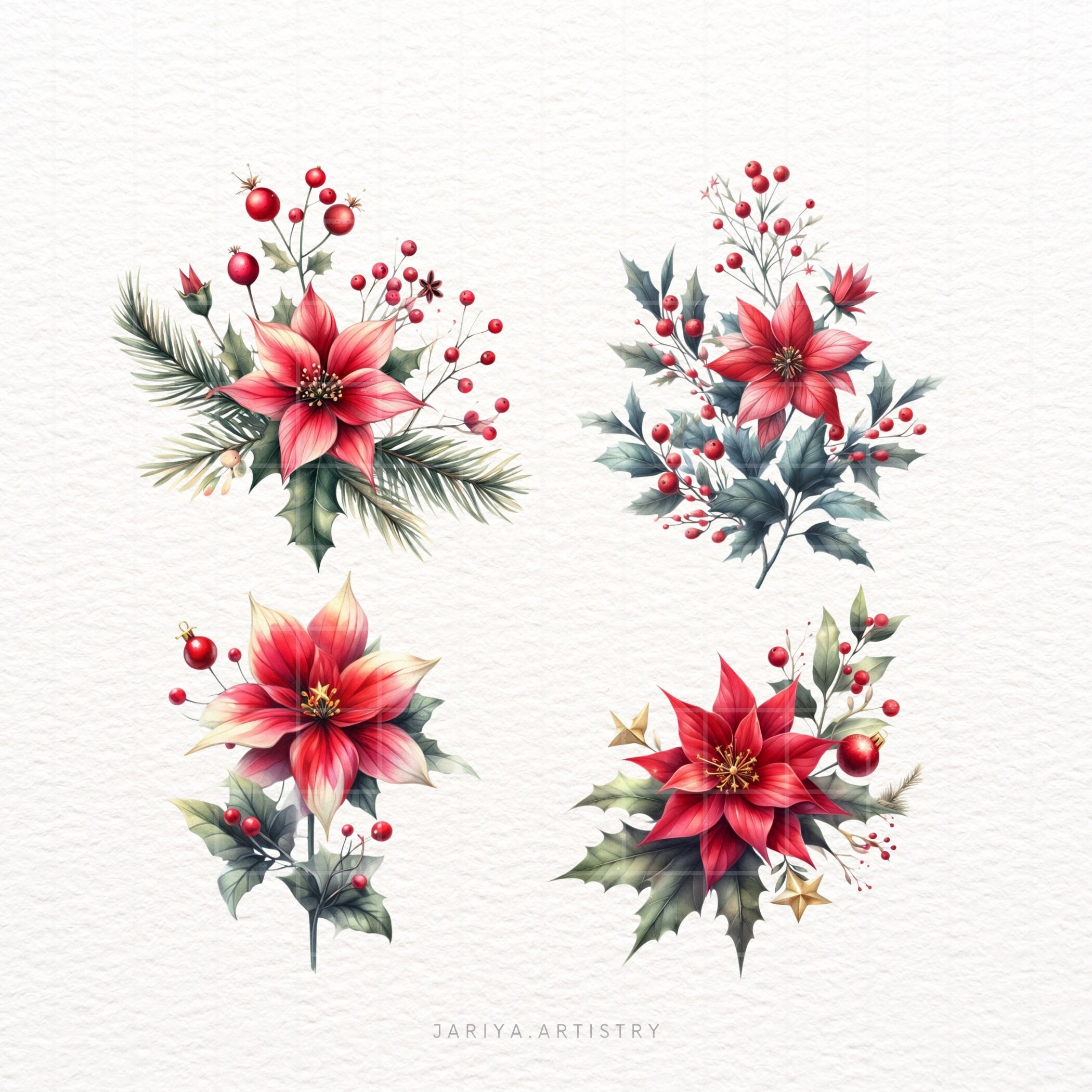 Christmas Flowers Clipart Bundle, Christmas Flowers Clipart PNG