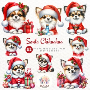 Chihuahua em traje de Papai Noel, clipart encantador com tema de feriado para criar cartões festivos e decorações sazonais
