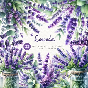 Aquarel lavendel clipart bundel, lavendel PNG, bloemen aquarel clipart, Instant Download, commercieel gebruik