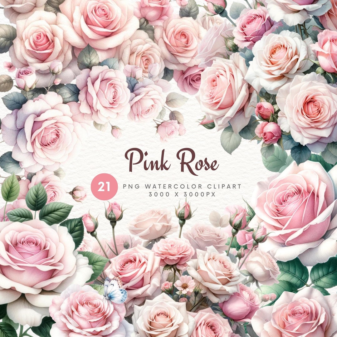 Watercolor Pink Rose Clipart Bundle, Pink Floral PNG, Pink Rose