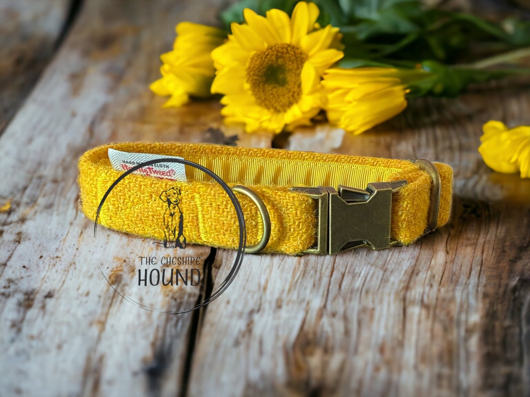 Harris Tweed Mustard Yellow Dog Collars Collar for Dogs and Puppies ...
