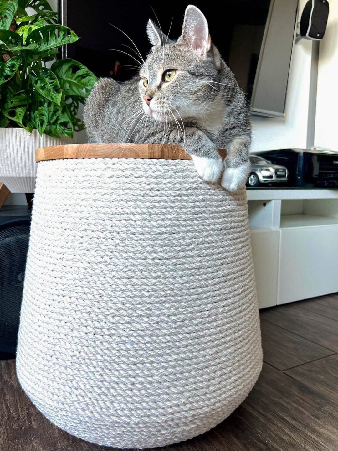 Modern Cat Scratcher Aesthetic Scratching Post Cat Etsy