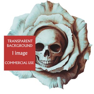 Flower skull, skully inside a flower, rose skull, gothic clipart, Gothic skull illustration, black and grey skull, sublimation, png