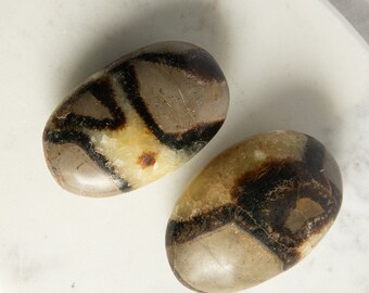 Pebbles of Septaria