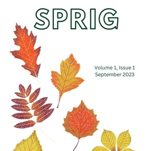 May include: A magazine cover with the title "SPRIG" in green letters. The cover features a variety of colorful autumn leaves and the text "Volume 1, Issue 1 September 2023" and "A STEAM magazine for kids" with the words "Science, Technology, Engineering, Art, Math" listed below.