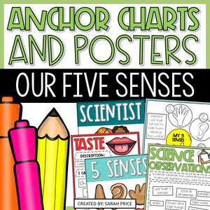 5 zintuigen ankerkaarten en wetenschapsposters | Wetenschappelijke observaties