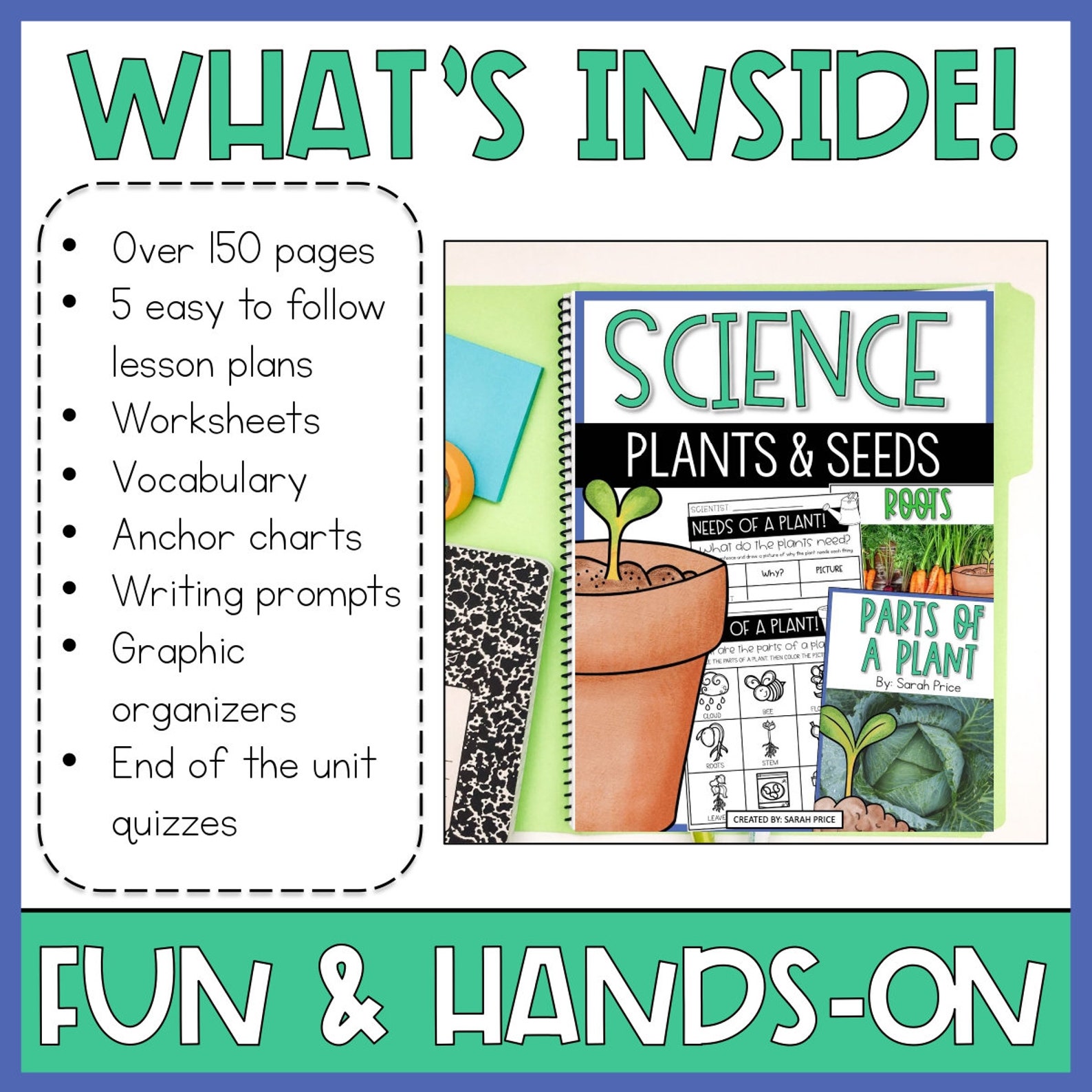 All About Plants Activities | Parts of Seeds Plants | Needs of Plants ...