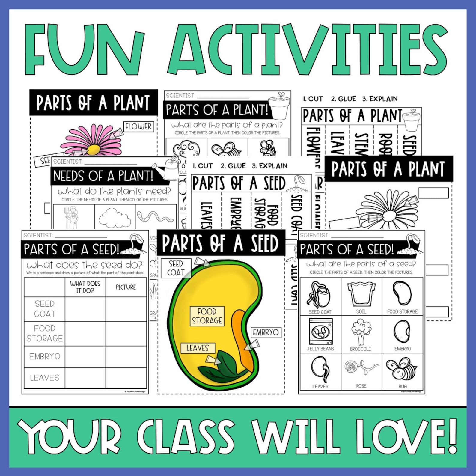 All About Plants Activities | Parts of Seeds Plants | Needs of Plants ...