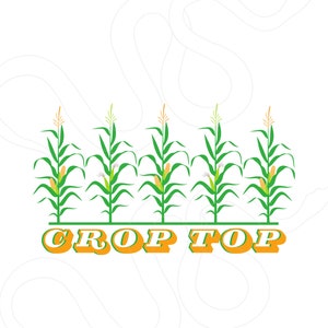 Könnte beinhalten: Ein weißer Hintergrund mit einem hellgrauen Schlangenmuster. Fünf grüne Maispflanzen mit gelben Maiskolben und weißen Blüten stehen in einer Reihe am unteren Rand des Bildes. Der Text "CROP TOP" ist in orangefarbenen Buchstaben mit einem Schattenstil.