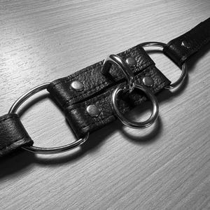 Op de afbeelding: Zwarte leren halsband met zilveren metalen ringen en klinknagels. De halsband heeft een centrale ring en twee grotere ringen aan weerszijden, verbonden door een leren band. Eenvoudig en functioneel ontwerp.