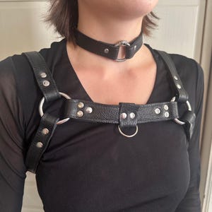 Puede incluir: Arnés de cuero negro con herrajes de metal plateado. El arnés presenta un collar tipo gargantilla y una pieza para el pecho con grandes anillos de metal. El cuero está tachonado con remaches plateados.