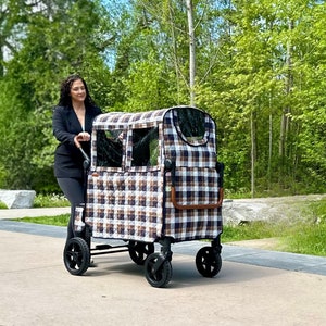 Radio Flyer Wagon Canopy - Etsy Canada