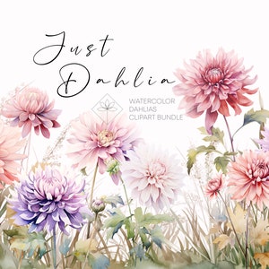 Aquarel Dahlia bloemen, Dahlia bloem clipart, Dahlia clipart, bruiloft aquarel clipart, verjaardag clipart, bloemen clipart