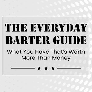 May include: Black and white text on a gray background with a white polka dot pattern. The text reads "THE EVERYDAY BARTER GUIDE What You Have That's Worth More Than Money".