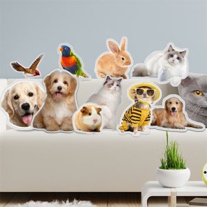 Custom Pet Pillow,Personalized Pet Pillow，3D Pillow by Pet Photo Pet Cat Pillow Custom，3D Shape Pillow